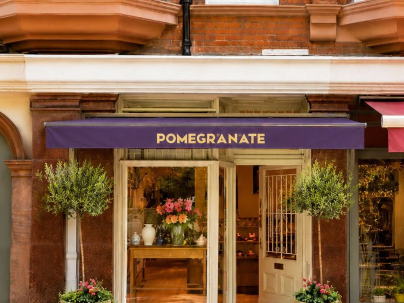 Twenty Years in the Making - Meet the New Pomegranate