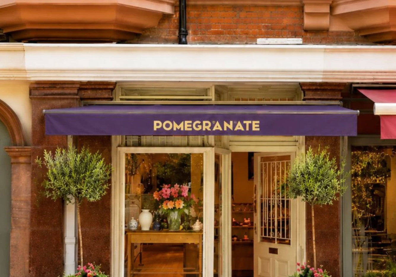 Twenty Years in the Making - Meet the New Pomegranate