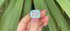 Aquamarine Cushion Shape Ring