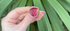 Pebble Tourmaline Trillion Limited Edition Gemstone Ring