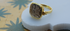 Anais Carved Smoky Quartz Ring
