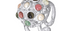 Cupola Multicoloured Tourmaline & Pearl Gemstone Ring