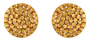 Fine Gold Dotted Round Stud Earrings