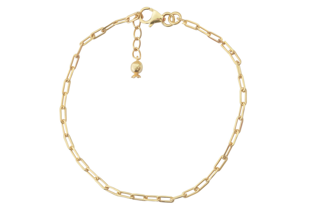 Paperclip Chain Bracelet & Pomegranate Charm