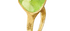 Peridot Textured Finish Ring