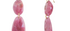 Pink Sapphire Rosecut Drop Earrings