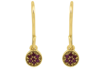 Luna Ruby Drop Earrings